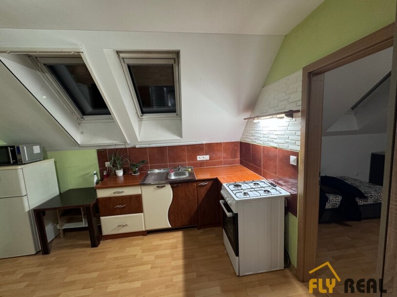 Prenajmeme zariadený  1,5-izb. byt  (48 m2) v lukratívnej časti mesta Sereď na ulici SNP! (+VIDEOPROJEKCIA)-1