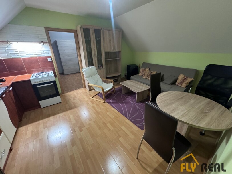 Prenajmeme zariadený  1,5-izb. byt  (48 m2) v lukratívnej časti mesta Sereď na ulici SNP! (+VIDEOPROJEKCIA)-7