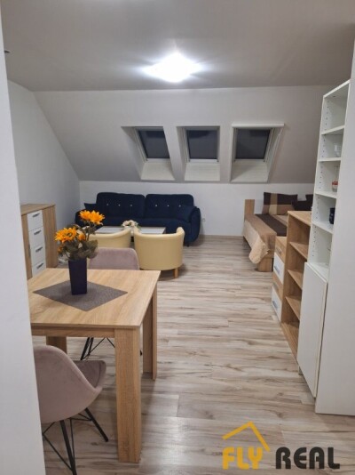 Prenajmeme zariadený veľký 1-izb. byt  (38 m2) v lukratívnej časti mesta Sereď  za 420 EUR/mes. bez energií!-1