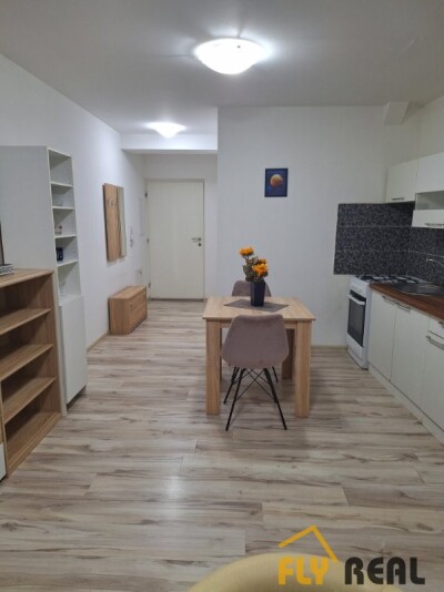 Prenajmeme zariadený veľký 1-izb. byt  (38 m2) v lukratívnej časti mesta Sereď  za 420 EUR/mes. bez energií!-2